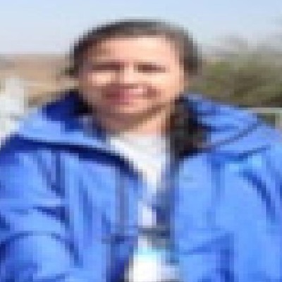 Professora Colaboradora